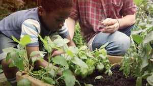 Vegetable Garden Ideas for Kids