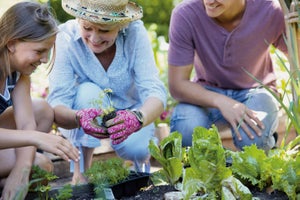 Create A Herb Garden However Much Space You Have