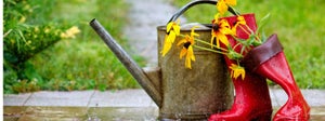 Rainy Day Gardening Activities