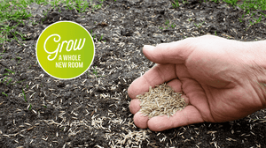 How to Sow Grass Seed