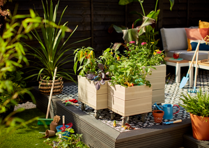 Design Ideas to Transform Your Garden