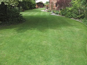 How To Level A Lawn