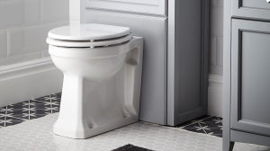 How to Replace a Toilet Seat