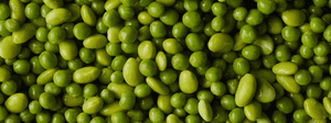 Qu’est-ce que la Protéine de Pois ? Avantages, Dosage et Effets Secondaires