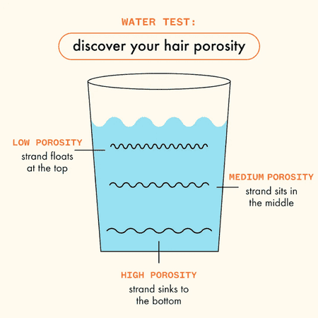 hair porosity inforgraphic