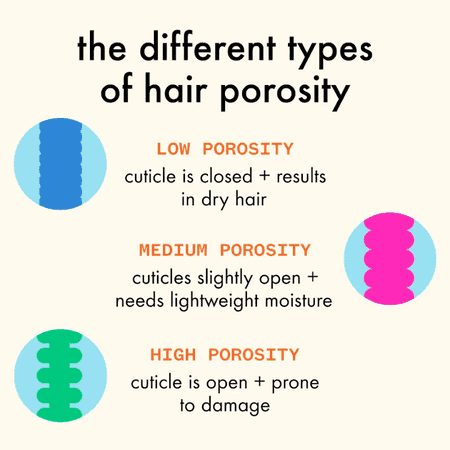 Hair porosity infographic