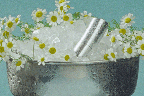 an ice bucket filled with ice and chamomile with a byredo lip balm in the middle