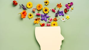 The Gut-Brain Axis: How Your Gut Health Could Support a Healthy Mind