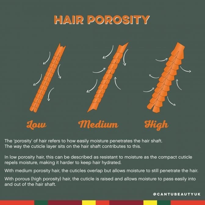 What Are The Best Deep Conditioners For High Porosity Hair 2023 | Extra  Moisturizing For Highly Porous Hair - Hair Everyday Review
