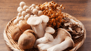 Mushroom Skincare: The Next Best Ingredient