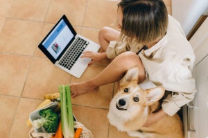 Can dogs eat celery? Is it good for them?