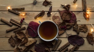 Oh Hello Autumn!