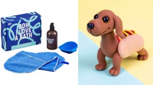 The Top 10 Best Gifts For Dog Lovers