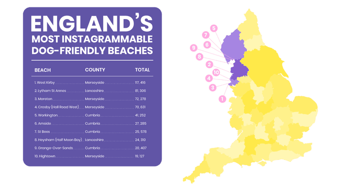 dog-friendly beaches England