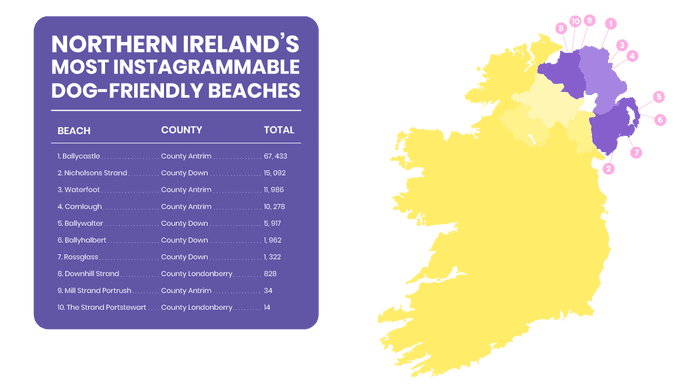 dog-friendly beaches Northern Ireland