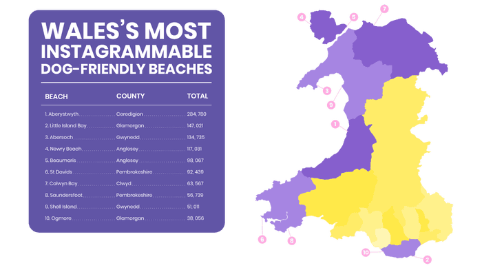 wales dog friendly beaches