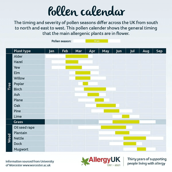 Hay Fever Pollen Calendar