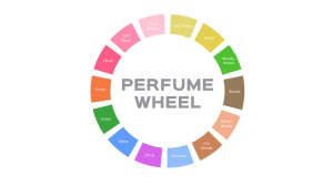 A colour wheel displaying different perfume notes