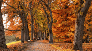 Abnehmtipps für den Herbst