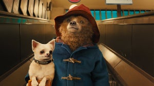 Paddington 3 Is Officially In Development