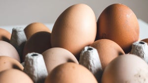 Hvad er æg-diæten? Er den god til vægttab?