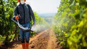 Pesticide Use Linked To Weight Gain In Mice, Study Reveals