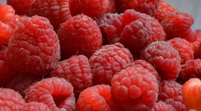 fraises