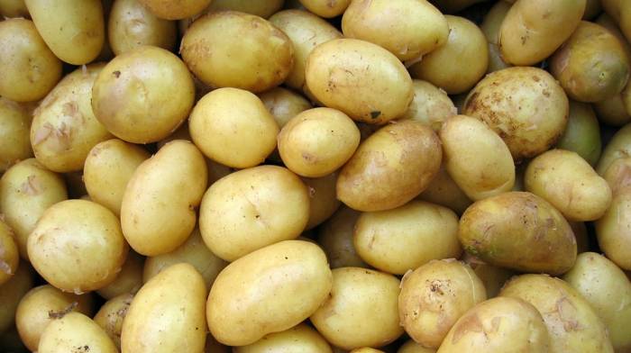 Die Kraft der Kartoffeln & Wieso du deine ganze Kraft nicht verlieren wirst | Die Top-Studien der Woche