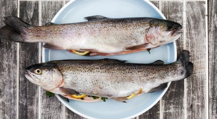 Was sind Pescetarier & Welche Lebensmittel können sie essen?