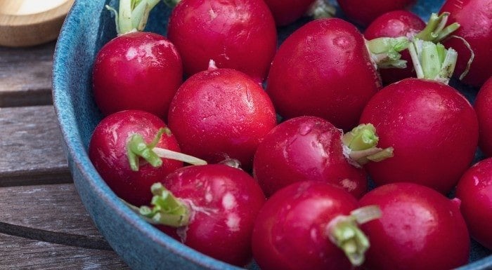 Dein Low Carb Gemüse Guide