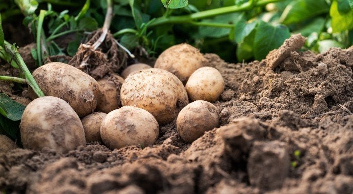 Gesunde Ernährung mit Hausmarken-Produkten aus dem Supermarkt