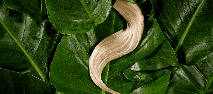 strand of silky hair