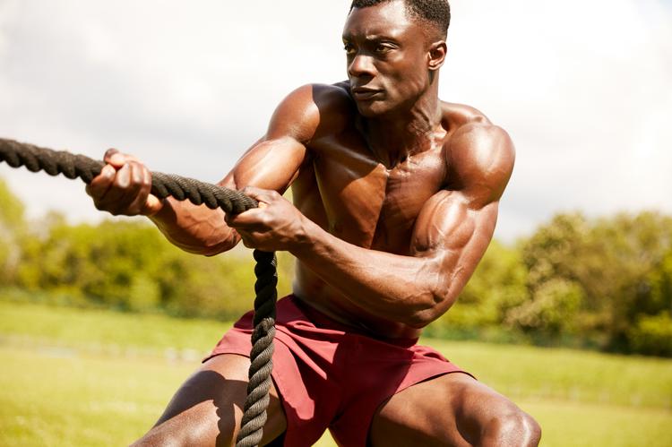 Mesomorph discount weight training
