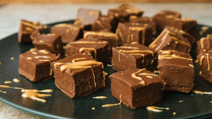 protein fudge