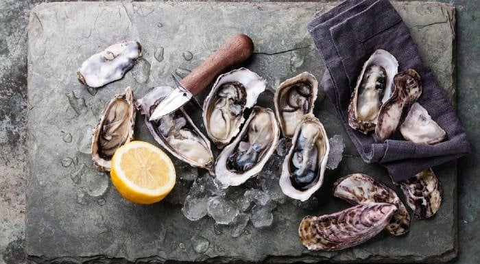 oysters