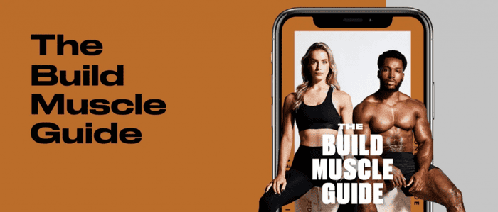 The build muscle guide 