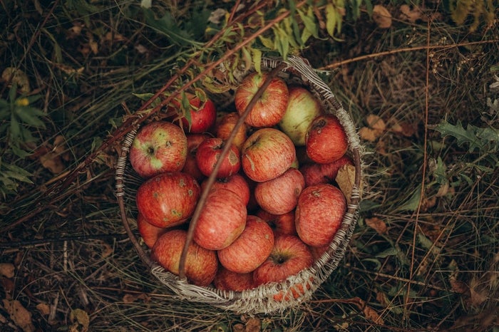 Őszi gyümölcsök