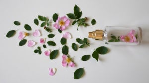 The Best Woody Scents For Spring