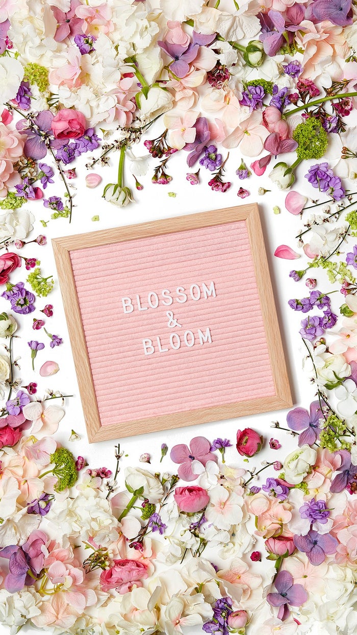 glossybox-april-blossom-wallpaper