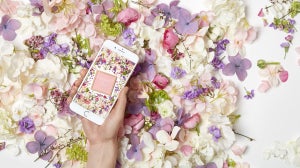 GLOSSY Wallpaper im April: Tauche dein Smartphone und Co in ein Blumenmeer