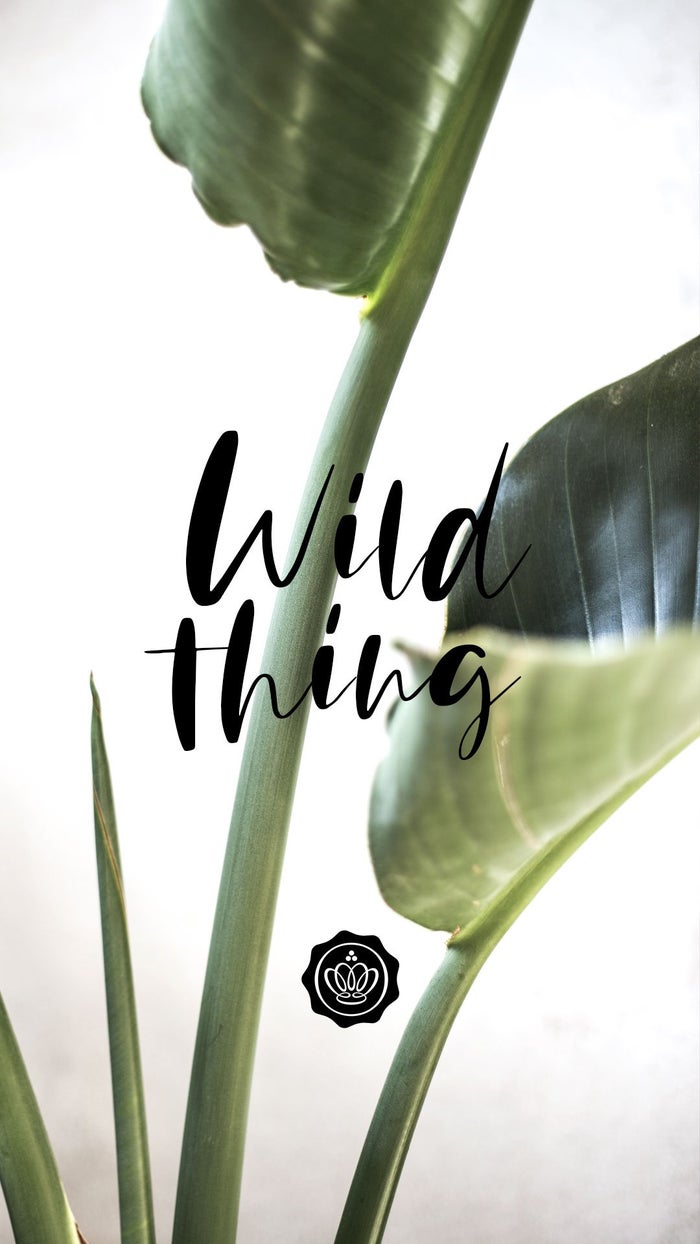 glossybox-wallpaper-screensaver-mai-wild-thing-clean-