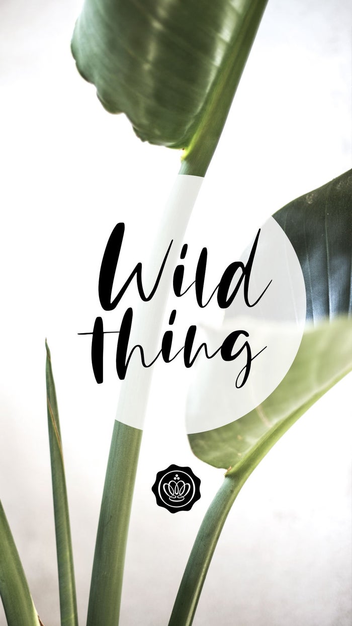 glossybox-wallpaper-screensaver-mai-wild-thing-clean-