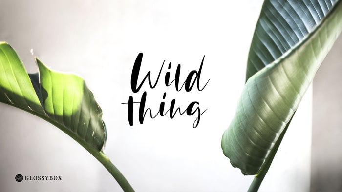 glossybox-wallpaper-screensaver-mai-wild-thing-clean-