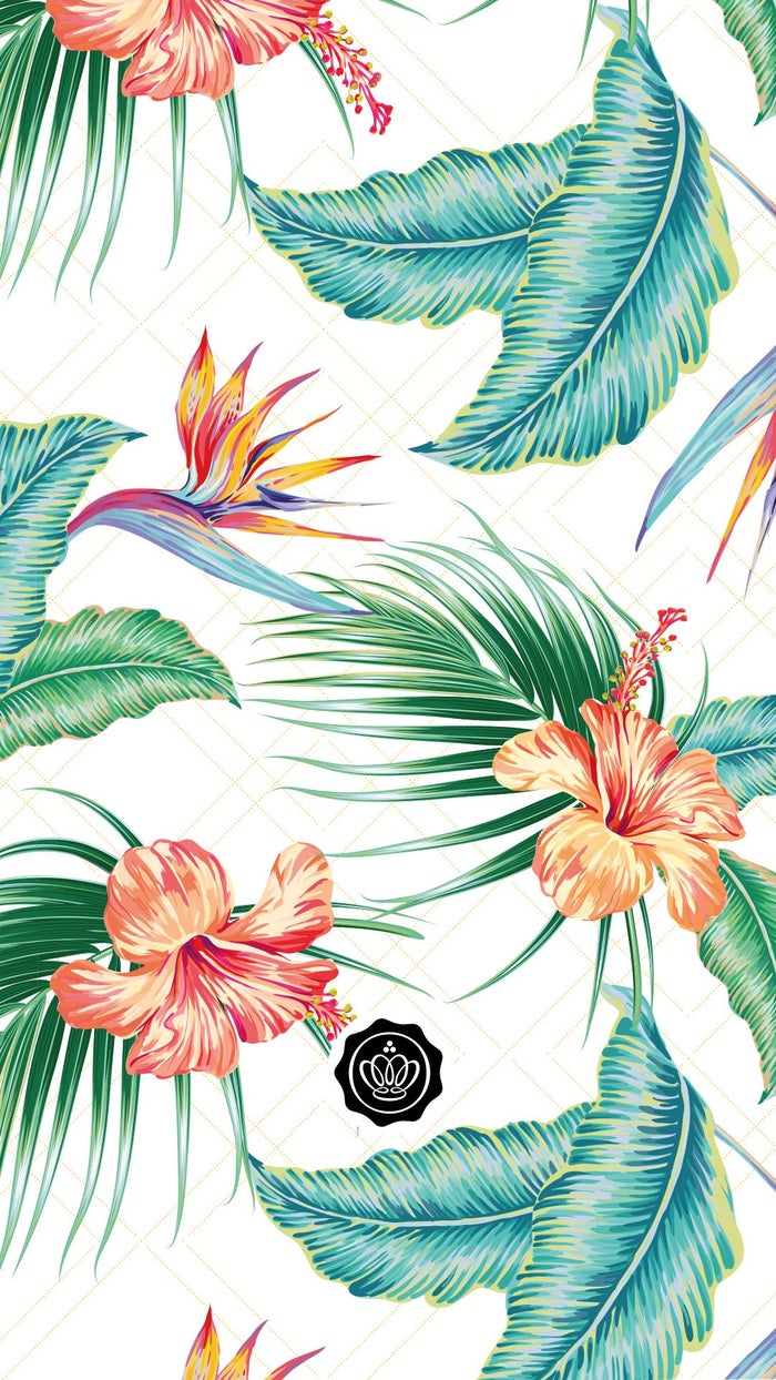 glossy-wallpaper-juli-2020-aloha-glossybox-screensaver
