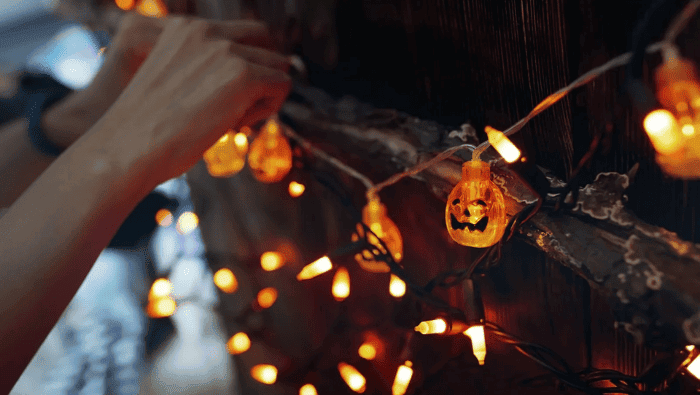 Eco-Friendly Halloween | Myvegan