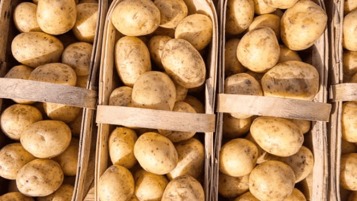 What Is Potato Milk? | Myvegan