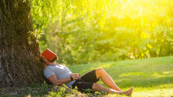 man napping under a tree in the sun