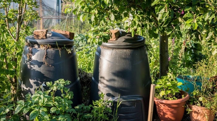 compost bins in a garden