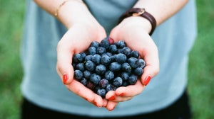 Les aliments bio sont-ils vraiment meilleurs pour la santé ?