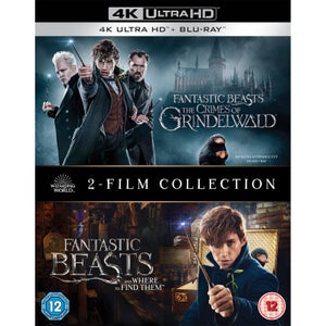 Fantastic Beasts Two Film Collection